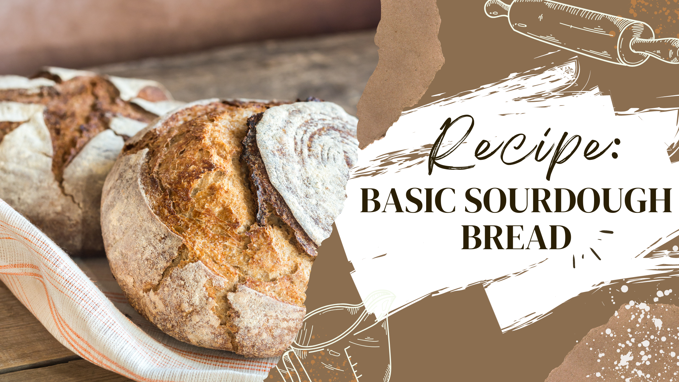 How to Stretch and Fold Sourdough Bread - The Baked Collective