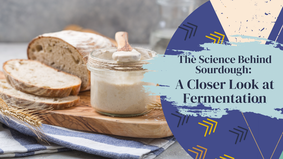 Unveiling the Science Behind Sourdough: Exploring the Wonders of Fermentation