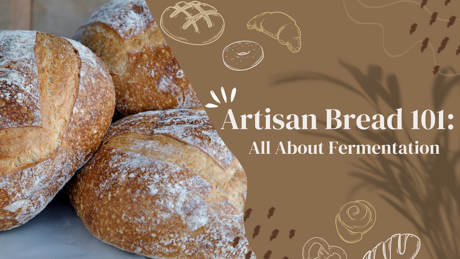 Artisan Bread 101: All About Fermentation